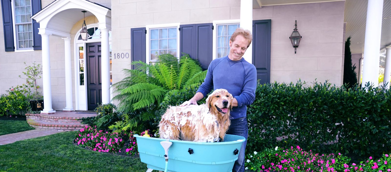 Golden retriever washed outdoors in a raised tub with a garden hose